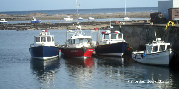 Seahouses Boats